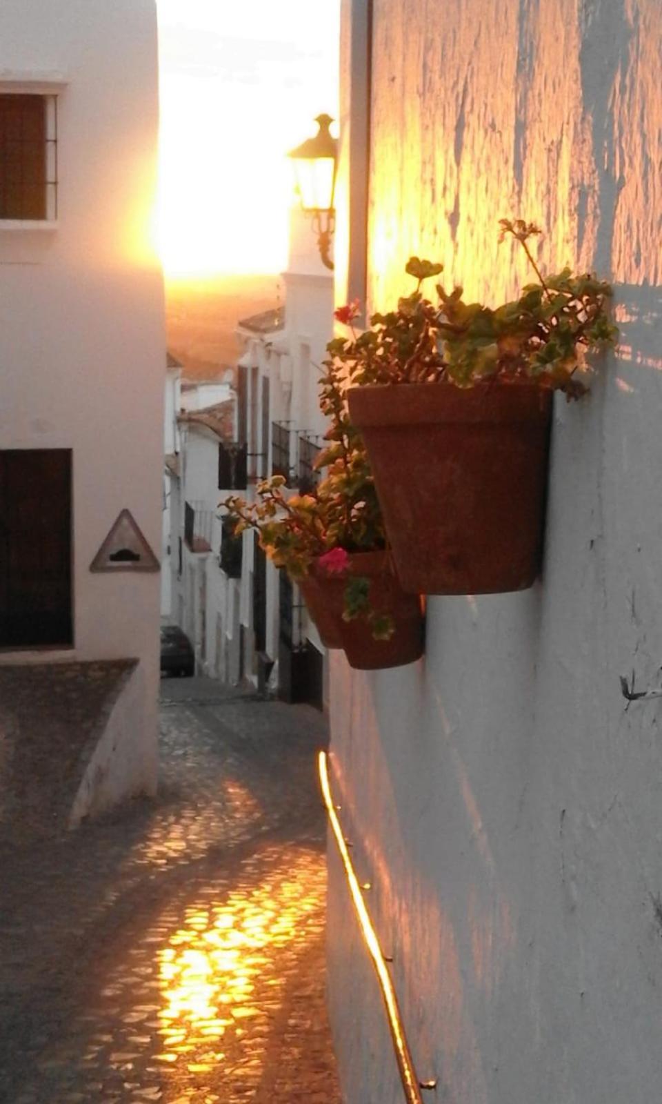 El Detalle Apartamento Y Estudio Zahara De La Sierra Buitenkant foto