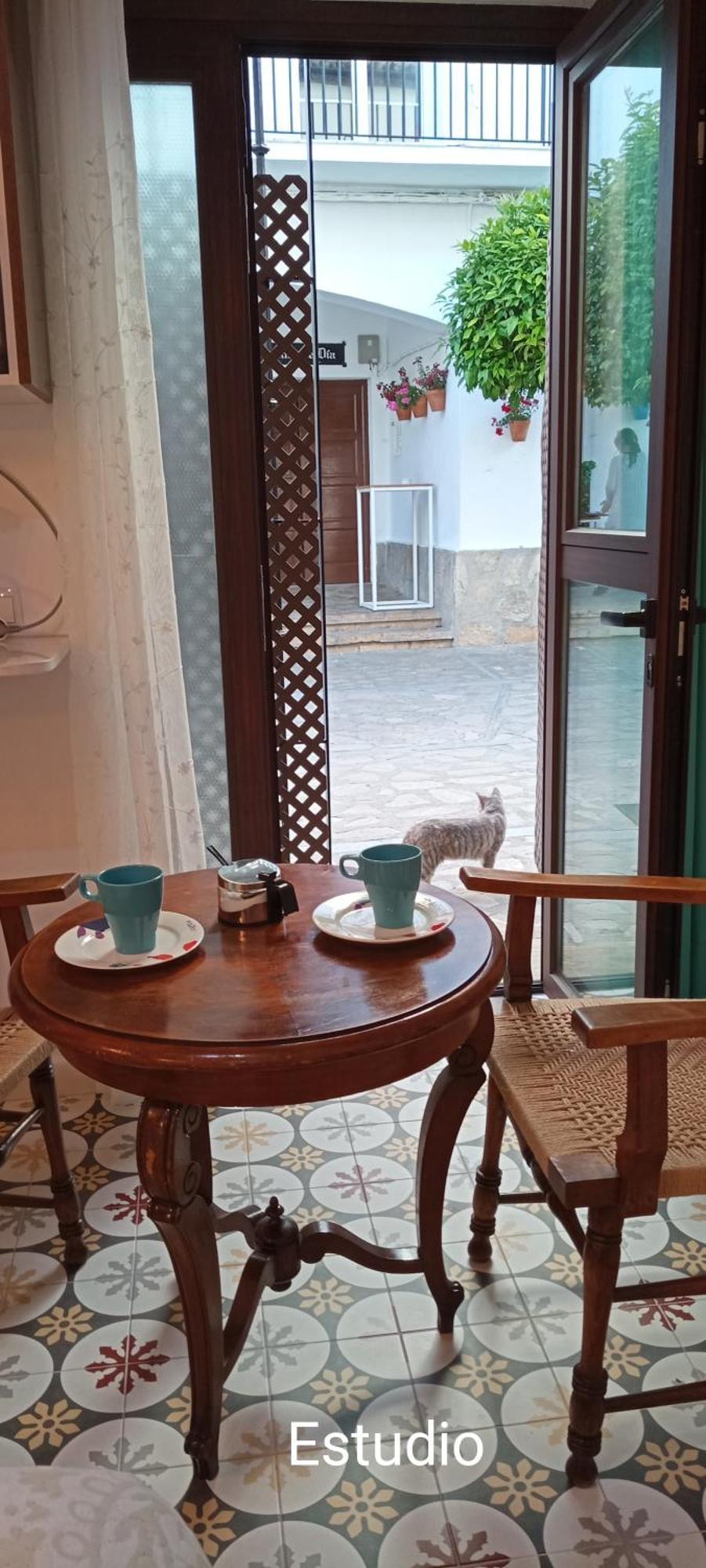 El Detalle Apartamento Y Estudio Zahara De La Sierra Buitenkant foto